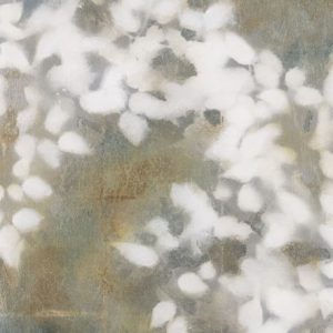 Lun Tse - Series Sylvan Reflections