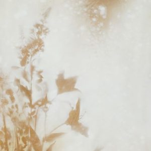 Lun Tse - Simplistic Garden