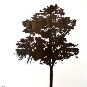 Andy Anh Ha - Brown Oak tree