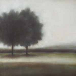 Vincent George - Aphonic Weald