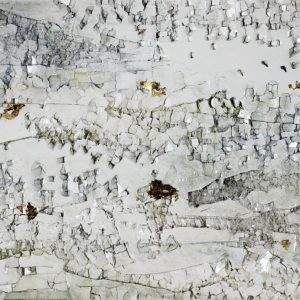 Lun Tse - Persistence of Beauty