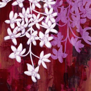 Seika - Mysterial