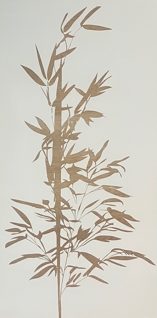 Andy Anh Ha - Bamboo
