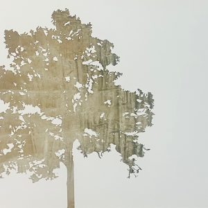 Andy Anh Ha - Maple tree