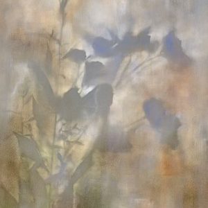Lun Tse - Simplistic Garden